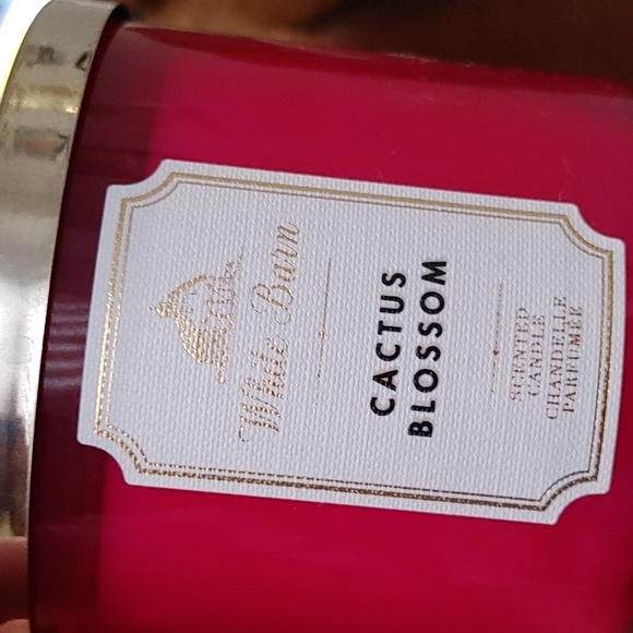 NEW White Barn Cactus Barn Scented Candle - Picture 4 of 7